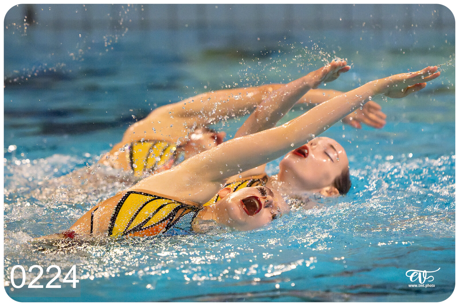 CHAMPIONNAT DE FRANCE DE NATATiON ARTISTIQUE N1 & ELITE 2026